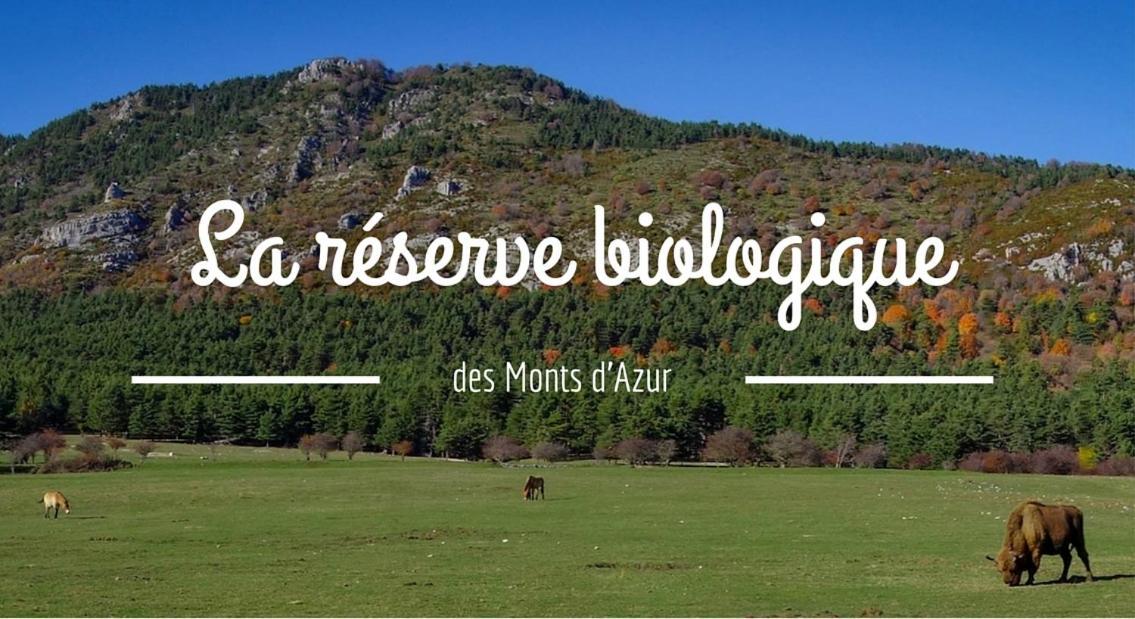 Montagne, mer et Verdon Séranon Eksteriør bilde